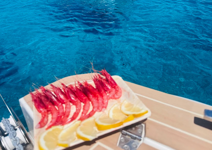 Esperienza in mare con Trapani Sea Experience